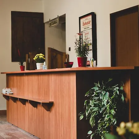Guest house U Statku