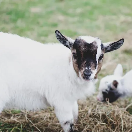 U Statku Casa de hóspedes