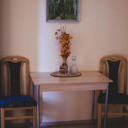 U Statku Guest house Lodherov