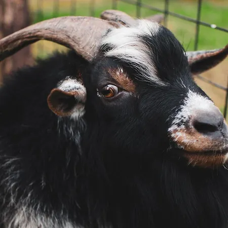 U Statku Casa de hóspedes 3*