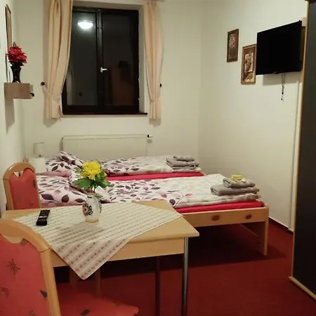 U Statku Guest house Lodherov