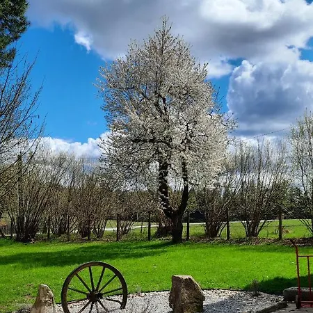 Guest house U Statku Lodherov