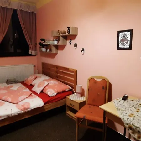 U Statku Guest house Lodherov