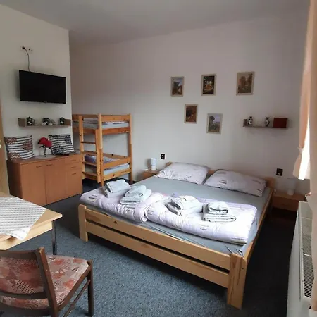 Guest house U Statku Lodherov