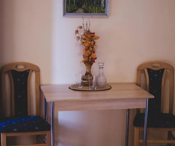 U Statku Pensjonat Lodherov