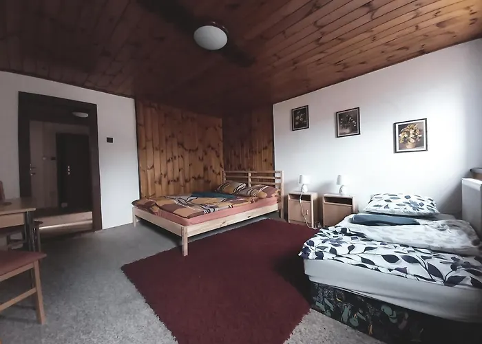 Pensjonat U Statku Lodherov