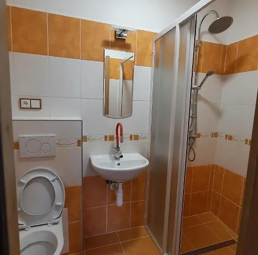 Pensjonat U Statku 3*
